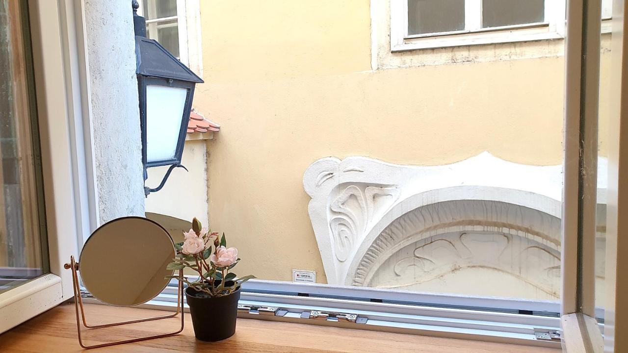 New Design & High Standard Apt From 16Th Century In Old Town-Free Parking 布拉迪斯拉发 外观 照片